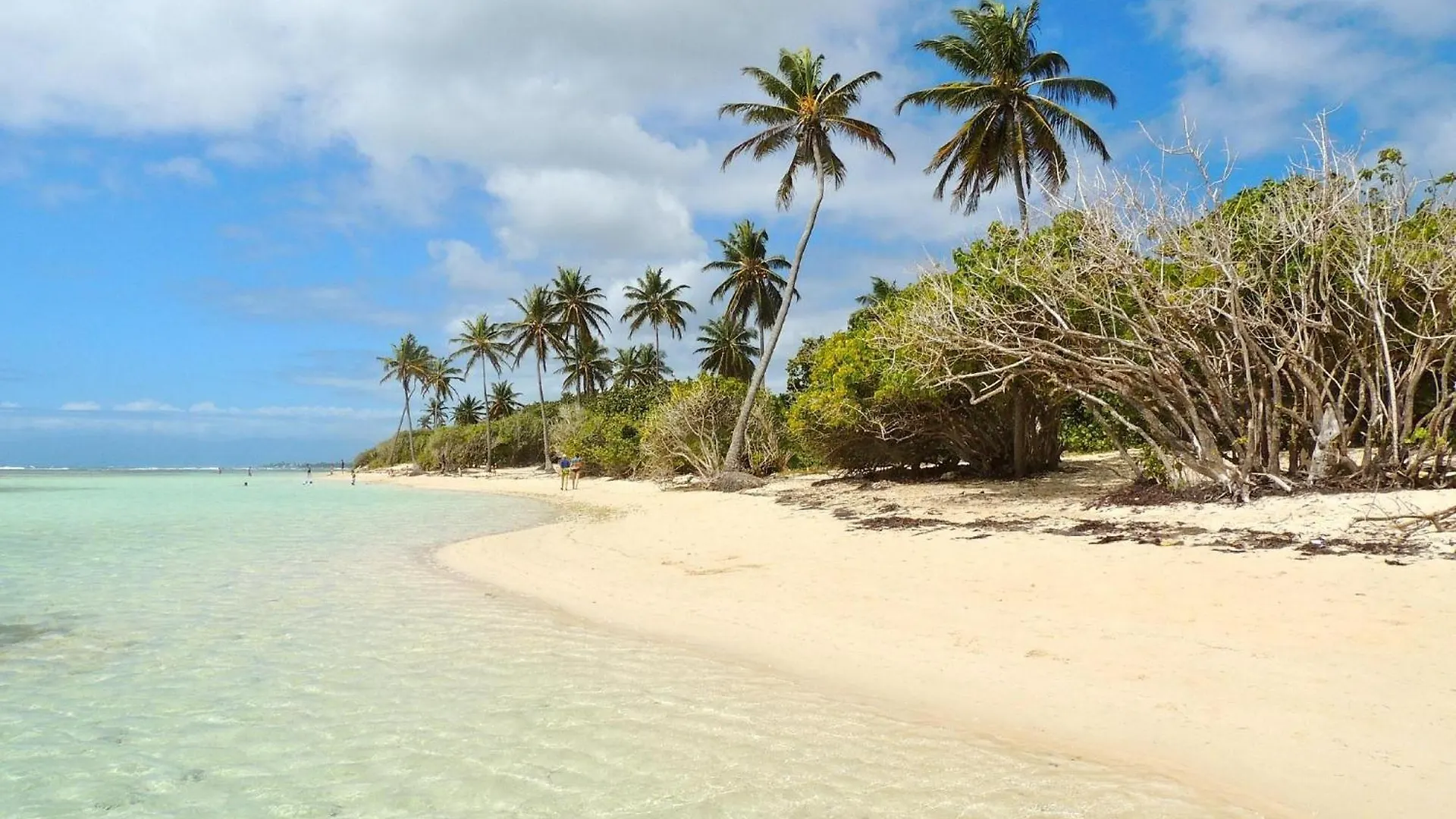 Only4View Beach Front Sainte-Anne